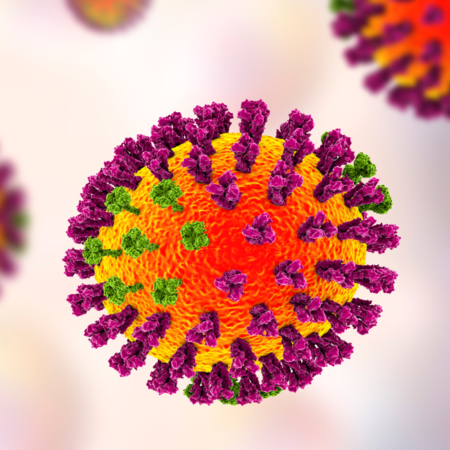 flu virus vector